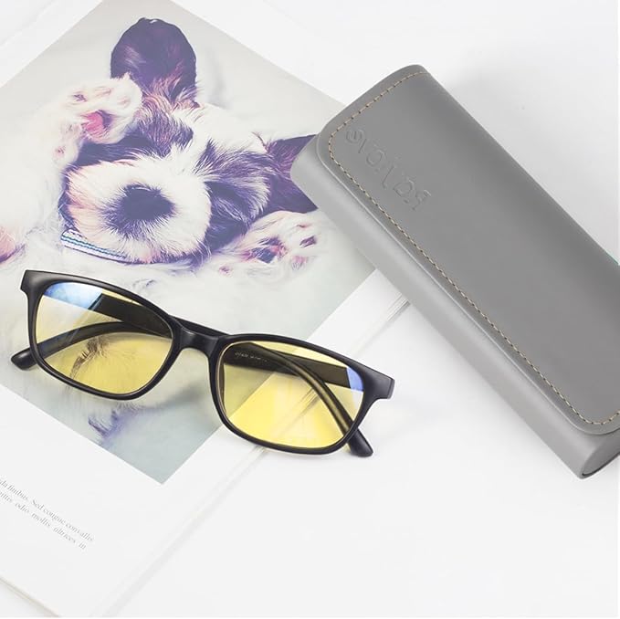 RayLove Glasses Case Hard Shell, Travel Sunglasses Case, Leather Hard Eyeglass Case for Women, Reading Glasses Case for Men