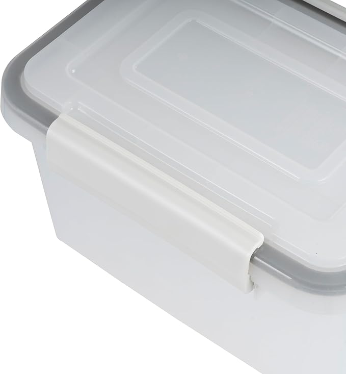 IRIS USA 4" x 6" |Made in USA| WeatherPro Photo Storage Box and Picture Containers, 7 Inner Cases for Tasks, Stickers, Ephemera, & Flashcards - Clear