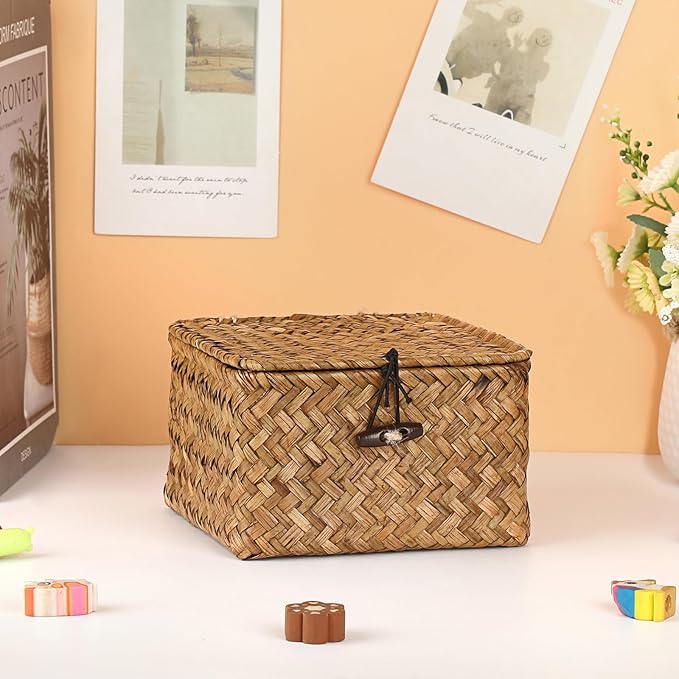 Hipiwe Wicker Shelf Baskets Bins with Lid Handwoven Seagrass Storage Basket Multipurpose Household Organizer for Shelves Home Decor, Caramel Color, X-small