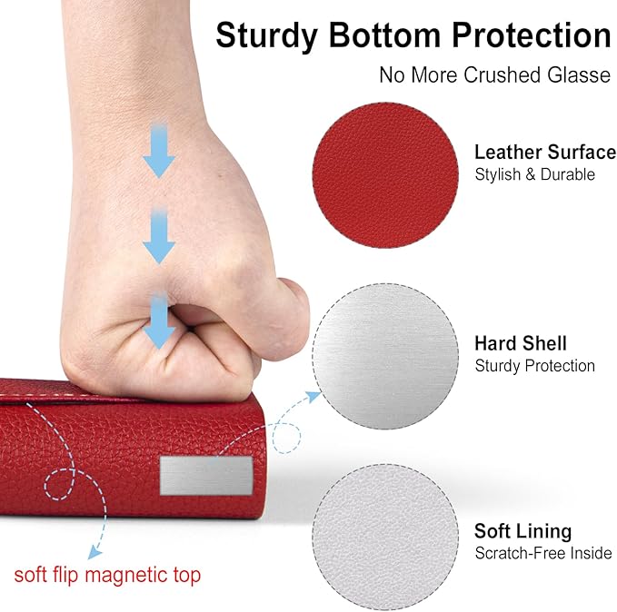 RayLove Ultimate Glasses Case Kit, Hard Shell Sunglasses and Eyeglass Case with Cleaning Cloth, Screwdriver, Ear Hooks