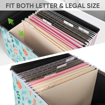 BALEINE File Organizer Box with Lid, Collapsible File Folder Organizer with Plastic Slide, Hanging File Folder Box for Office Document Storage (1 Pack, Spring Stroll)