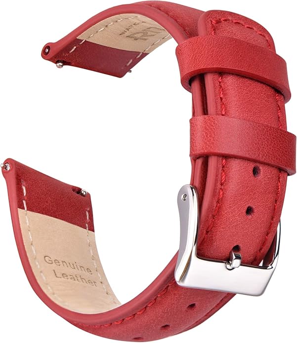Ritche Christmas Gift Quick Release Leather Watch Bands Genuine Watch Straps for Men Women Top Grain Leather Watch Strap, White Elephant Gifts, Stocking Stuffers for Men, Father's Day gifts