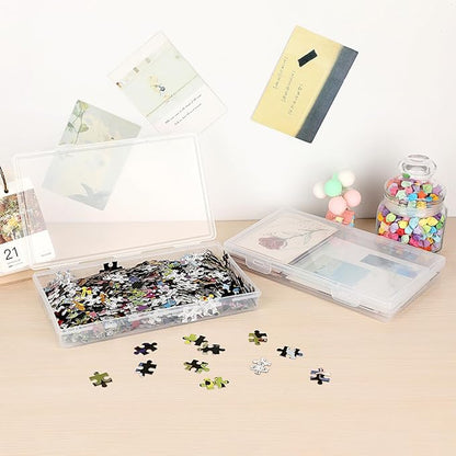 BTSKY Clear Plastic Storage Box with Flap Lid, Multipurpose Craft Organizers and Storage Box Art Supply Storage Organizer Plastic Sewing Box for Beads Pencils Sticky Notes, 4 Pack Medium Small