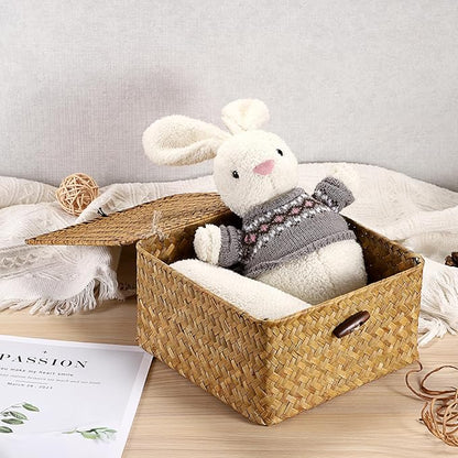 Hipiwe Wicker Shelf Basket Bin with Lid Square Handwoven Seagrass Box Decorative Household Storage Container Multipurpose Organize for Bookshelf Living Room Bathroom, Small Caramel