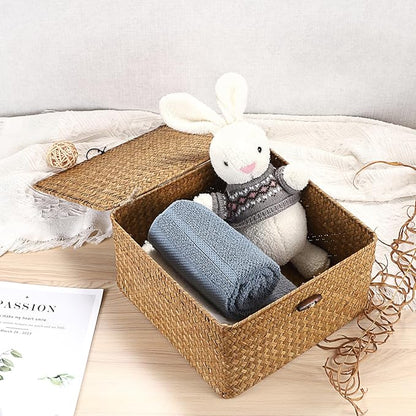 Hipiwe Handwoven Seagrass Basket Bin Square Household Storage Container with Lid Wicker Shelf Basket Bin for Bookshelf Living Room Bath Room, Large Caramel