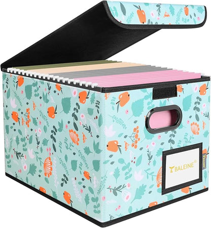 BALEINE File Organizer Box with Lid, Collapsible File Folder Organizer with Plastic Slide, Hanging File Folder Box for Office Document Storage (1 Pack, Spring Stroll)