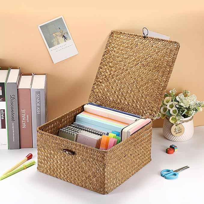 Hipiwe Handwoven Seagrass Basket Bin Square Household Storage Container with Lid Wicker Shelf Basket Bin for Bookshelf Living Room Bath Room, Large Caramel