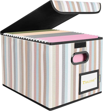 BALEINE File Organizer Box with Lid, Collapsible File Folder Organizer with Plastic Slide, Hanging File Folder Box for Office Document Storage (1 Pack, Color Stripe)