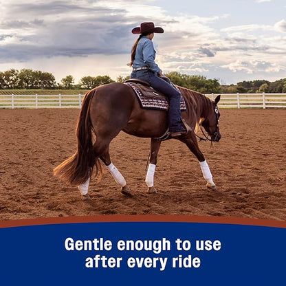 Farnam Leather New Easy-Polishing Glycerine Saddle Soap and Leather Cleaner, 16 oz
