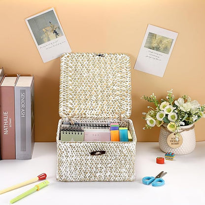 Hipiwe Handwoven Seagrass Basket with Lid Square Wicker Basket Bin Closet Storage Box Multipurpose Household Organize Container for Home Decor, Small,Whitewash