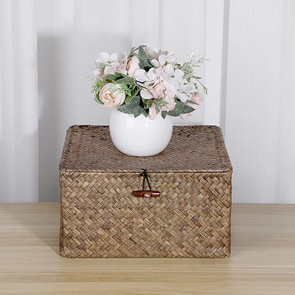 Hipiwe Wicker Shelf Baskets Bin with Lid Handwoven Seagrass Storage Basket Container Square Multipurpose Household Basket Boxes for Shelves and Home Organizer, Coffee Large