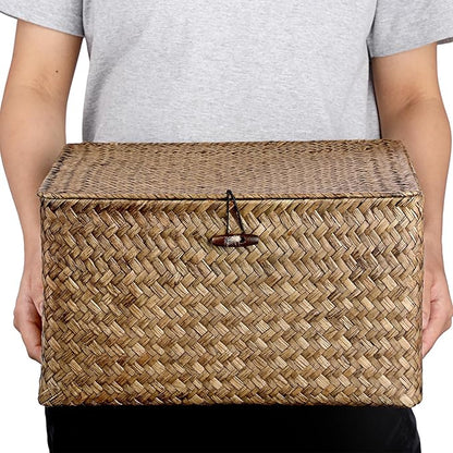 Hipiwe Handwoven Basket Container Seagrass Storage Box Wicker Bin for Fruits Snacks Clothes Books Towels Home Organizer with Lid, Coffee, XX-Large