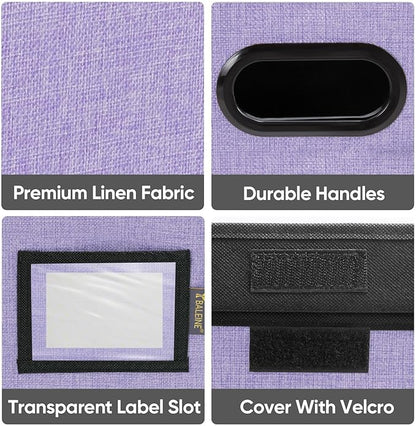 BALEINE File Organizer Box with Lid, Collapsible File Folder Organizer with Plastic Slide, Hanging File Folder Box for Office Document Storage (2 Pack, Purple)