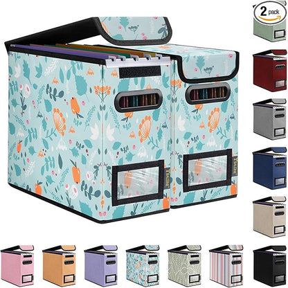 BALEINE File Organizer Box with Lid, Collapsible File Folder Organizer with Plastic Slide, Hanging File Folder Box for Office Document Storage (2 Pack, Spring Stroll, S)