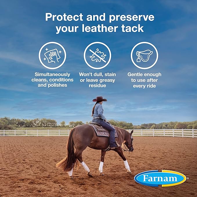 Farnam Leather New Easy-Polishing Glycerine Saddle Soap and Leather Saddle Cleaner, Protects and Preserves Leather, Cleans, Conditions and Polishes, 16 Oz. (Pack of 2)