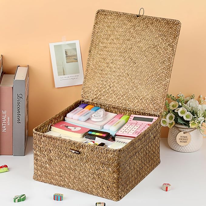Hipiwe Handwoven Basket Container Seagrass Storage Box Wicker Bin for Fruits Snacks Clothes Books Towels Home Organizer with Lid, Coffee, XX-Large