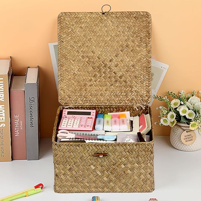 Hipiwe Handwoven Storage Box with Lid Seagrass Wicker Shelf Basket Bin Household Organizer for Bookshelf Living Room Bath Room, Coffee, X-Large