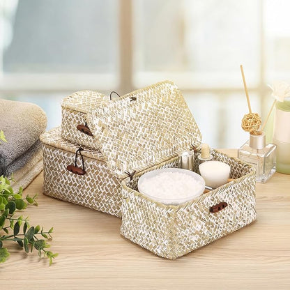Hipiwe Wicker Shelf Basket Mini Seagrass Basket with Lid Key Holder Box for Entry Tabletop Desk Organizer Home Decor, Whitewash 6.1" x 4" x 3.3"