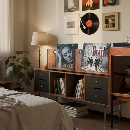 Vinyl Record Storage Crate 2 Pack, Holds up To 60 LPs, Album Visible Storage Box with Acrylic Front, Handle, Wooden Multi-Purpose Organizer for Records, Magazines and Books, Desktop and Home Office