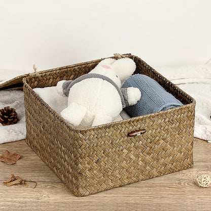 Hipiwe Handwoven Storage Box with Lid Seagrass Wicker Shelf Basket Bin Household Organizer for Bookshelf Living Room Bath Room, Coffee, X-Large