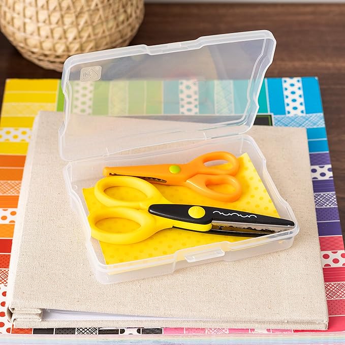 IRIS USA 4" x 6" |Made in USA| Photo Organizers and Picture Storage Box with Handle, 16 Inner Cases/Containers for Tasks, Stickers, Ephemera, & Flashcards - Clear
