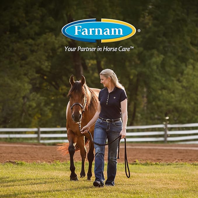 Farnam Leather New Easy-Polishing Glycerine Saddle Soap and Leather Saddle Cleaner, Protects and Preserves Leather, Cleans, Conditions and Polishes, 16 Oz. (Pack of 2)